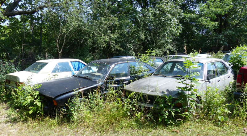 Illustration for article titled A Michigan Town Is Forcing This Man To Sell 20 Old Cars Off His Property Every Month